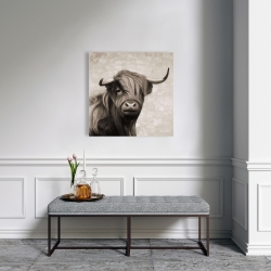 Canvas 24 x 24 - Highland cattle sepia