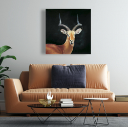 Toile 24 x 24 - Antilope