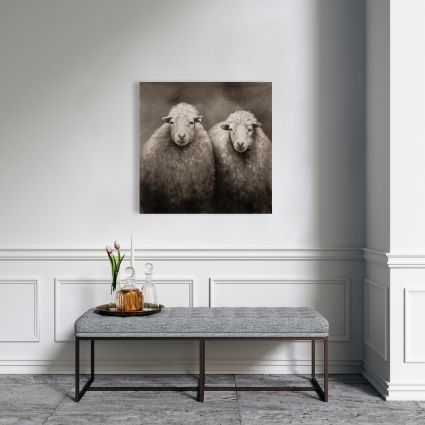 Sheep sepia