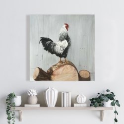 Canvas 24 x 24 - Wyandotte rooster