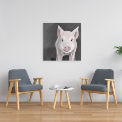 Canvas 24 x 24 - Little piglet