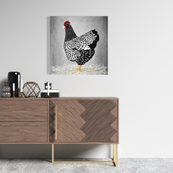 Canvas 24 x 24 - Black and white wyandotte hen