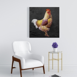 Canvas 24 x 24 - Beautiful rooster 2