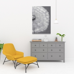 Canvas 24 x 36 - Dandelion puff ball