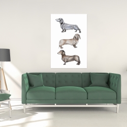 Toile 24 x 36 - Petits chiens teckel