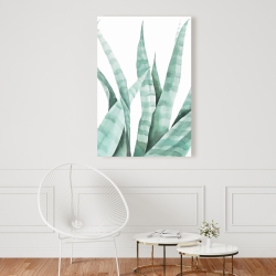 Toile 24 x 36 - Plante désertique rayée à l'aquarelle