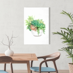 Toile 24 x 36 - Assortiment de succulents en pot