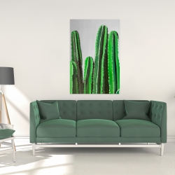 Toile 24 x 36 - Cactus cierges