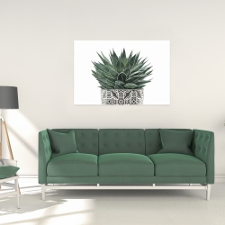 Toile 24 x 36 - Succulent haworthia