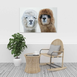 Toile 24 x 36 - Deux lamas