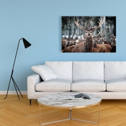 Toile 24 x 36 - Cerfs