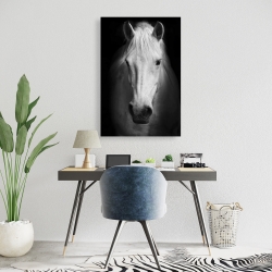 Canvas 24 x 36 - Monochrome horse