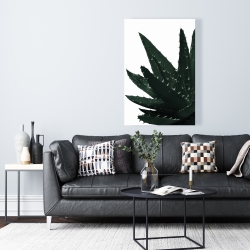 Canvas 24 x 36 - Aloe plant