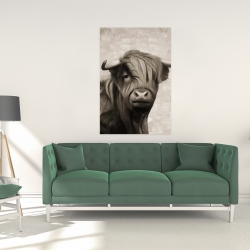 Canvas 24 x 36 - Highland cattle sepia