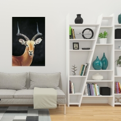 Toile 24 x 36 - Antilope