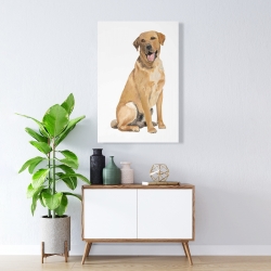 Canvas 24 x 36 - Labrador retriever