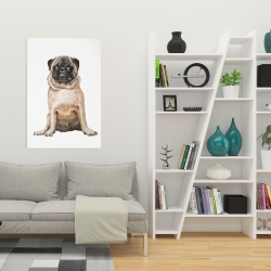 Canvas 24 x 36 - Pug