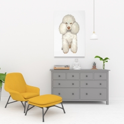 Canvas 24 x 36 - French poodle