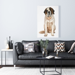 Canvas 24 x 36 - Saint bernard