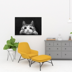 Canvas 24 x 36 - Curious cat