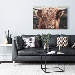 Canvas 24 x 36 - Desaturated highland cow