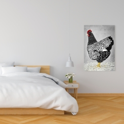 Canvas 24 x 36 - Black and white wyandotte hen