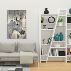 Canvas 24 x 36 - Rustic white horse