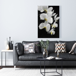Canvas 24 x 36 - Beautiful orchids