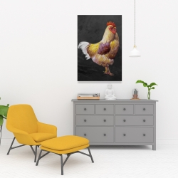 Canvas 24 x 36 - Beautiful rooster 2