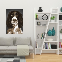 Canvas 24 x 36 - Brown english springer spaniel