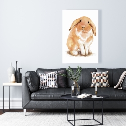 Toile 24 x 36 - Lapin bélier