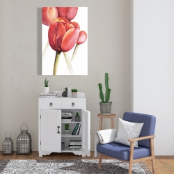 Canvas 24 x 36 - Blossoming tulips closeup