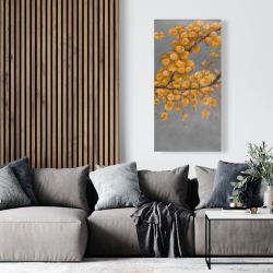 Canvas 24 x 48 - Golden wattle plant with pugg ball flowers