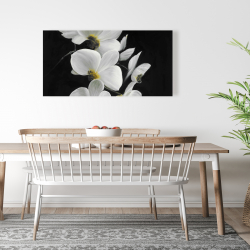 Canvas 24 x 48 - Beautiful orchids