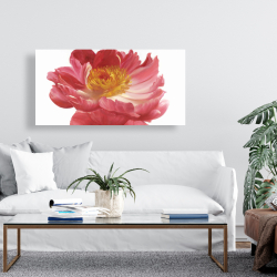 Canvas 24 x 48 - Pink peony