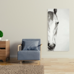 Toile 24 x 48 - Cheval noir & blanc de face