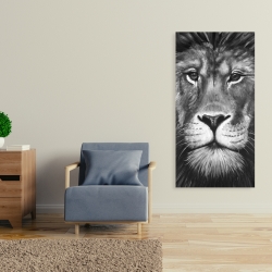 Toile 24 x 48 - Portrait de lion