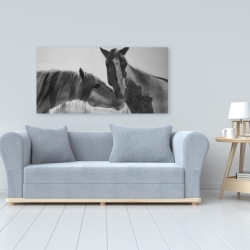 Canvas 24 x 48 - Horses lover