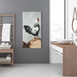 Canvas 24 x 48 - Wyandotte rooster