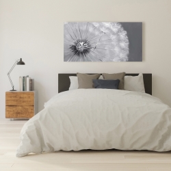 Canvas 24 x 48 - Dandelion puff ball