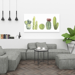 Canvas 24 x 48 - Tiny cactus set