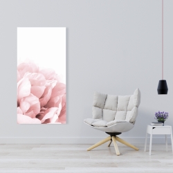 Canvas 24 x 48 - Peony flower dream