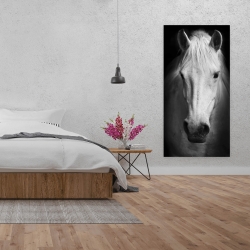 Canvas 24 x 48 - Monochrome horse