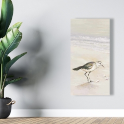 Canvas 24 x 48 - Semipalmated sandpiper on the beach