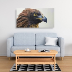 Toile 24 x 48 - Aigle à tête brune