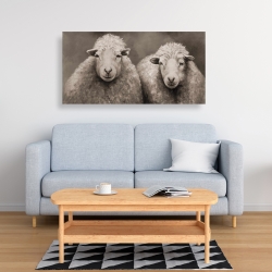 Canvas 24 x 48 - Sheep sepia