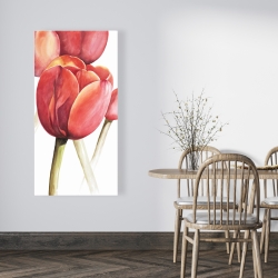 Canvas 24 x 48 - Blossoming tulips closeup