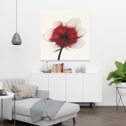 Toile 36 x 36 - Fleur anémone rouge