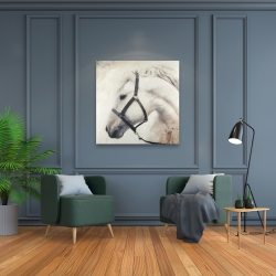 Toile 36 x 36 - Darius le cheval blanc