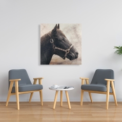 Canvas 36 x 36 - Gallopin the brown horse